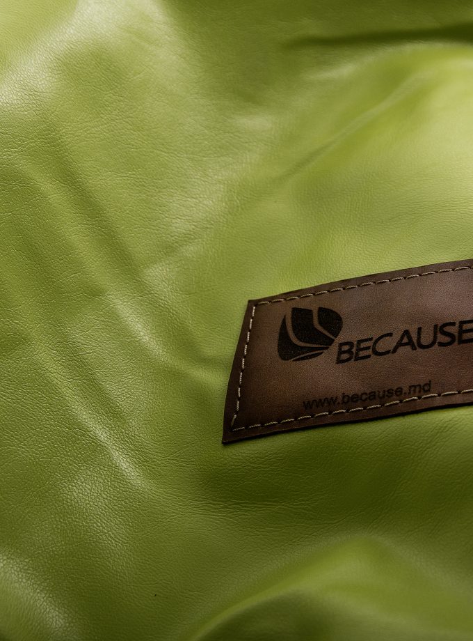 Salad Bean Bag